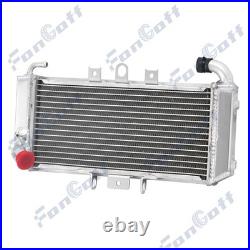 Aluminium Radiateur Pour Yamaha FZS600 Fazer FZS 600 1998-2003 1999 Nou FR