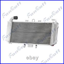 Aluminium Radiateur Pour Yamaha FZS600 Fazer FZS 600 1998-2003 1999 Nou FR