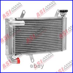Motocyclette Radiateur Pour 01-02 Ducati Monster S4/03-08 Ducati Monster\S4R. FR