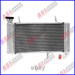 Motocyclette Radiateur Pour 01-02 Ducati Monster S4/03-08 Ducati Monster\S4R. FR